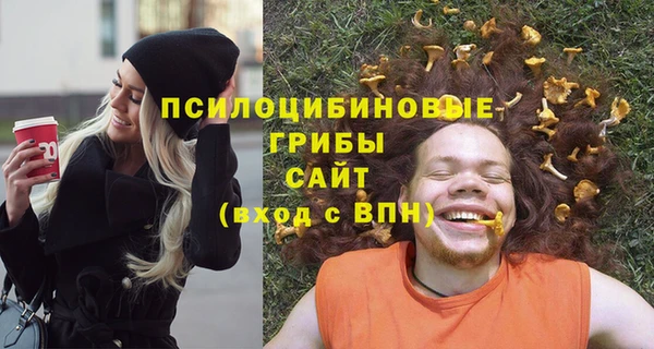 COCAINE Богородицк