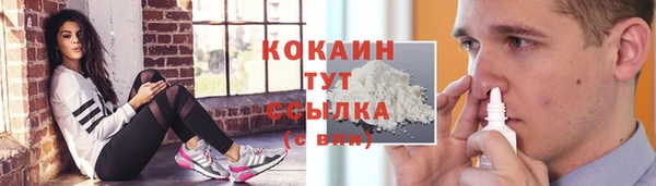 PSILOCYBIN Богородск