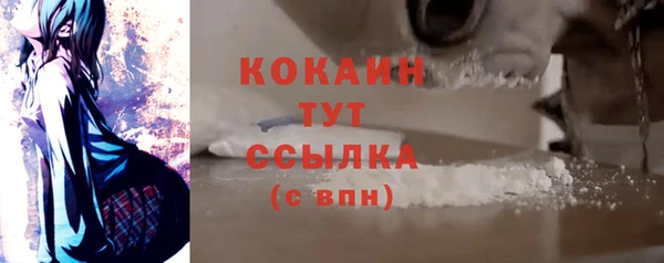PSILOCYBIN Богородск
