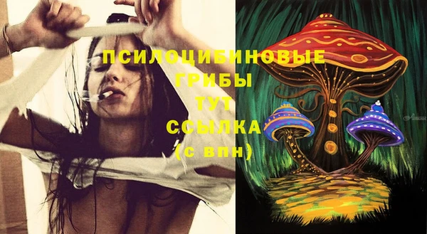 PSILOCYBIN Богородск