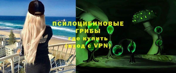 спайс Тавда