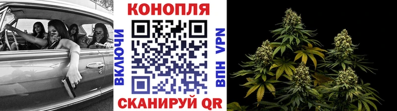 где купить наркотик  Дмитров  OMG tor  Бошки Шишки THC 21% 